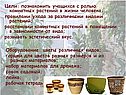 Познакомить учащихся с ролью комнатных растений