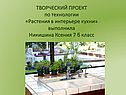 Растения в интерьере кухни