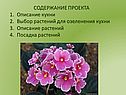 Описание кухни