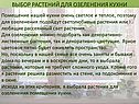 Выбор растений для озеленения кухни