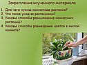 Закрепление изученного материала