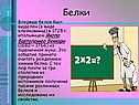 Белки