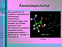 Аминокислоты