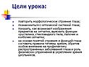 Цели урока