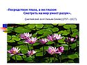 Смотреть на мир умеет разум