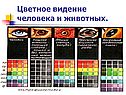 Цветное видение человека и животных