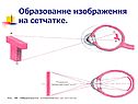 Образование изображения на сетчатке