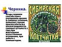 Черника