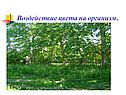 Воздействие цвета на организм