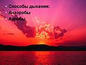 Архейская эра по биологии