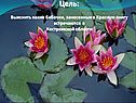 Цель: Выяснить какие бабочки, занесенные в Красную книгу встречаются в