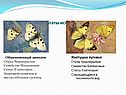 Результаты исследований