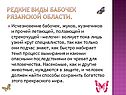 Редкие виды бабочек Рязанской области