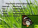 Научная классификация