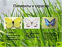 Лимонница