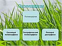Полиморфизм