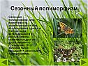 Сезонный полиморфизм