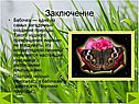 Одно из самых загадочных созданий природы