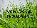 Спасибо за внимание