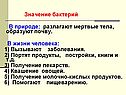 Значение бактерий В природе: разлагают мертвые тела, образуют почву
