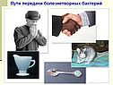 Пути передачи болезнетворных бактерий