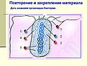 Бактерии 6 класс