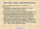 Тема урока: «белки – биополимеры жизни»