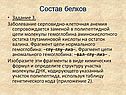 Состав белков