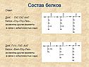Состав белков