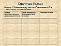 Структура белков