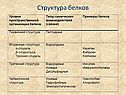 Структура белков