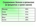 Содержание белков в организме (в процентах к сухой массе)