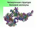 Четвертичная структура белковой молекулы