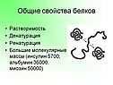 Общие свойства белков