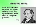 Что такое жизнь