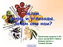 Белки жиры углеводы