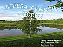 Береза- символ России