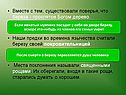 Береза - проклятое Богом дерево