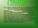 Строение