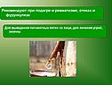 Рекомендуют при подагре и ревматизме, отеках и фурункулезе