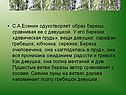 С.А.Есенин одухотворяет образ березы, сравнивая ее с девушкой