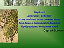 Берёзки! Девушки - берёзки