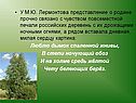 Представление о родине