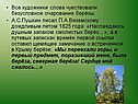 Все художники слова чувствовали безусловное очарование берёзы