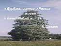 Берёзка, солнце и Россия живут и вечно будут жить