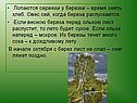 Лопаются сережки у березки – время сеять хлеб