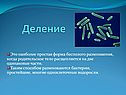 Деление