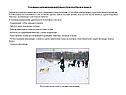Основные направления деятельности волонтёров в приюте