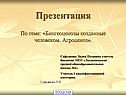 Биогеоценозы