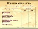 Примеры агроценозов